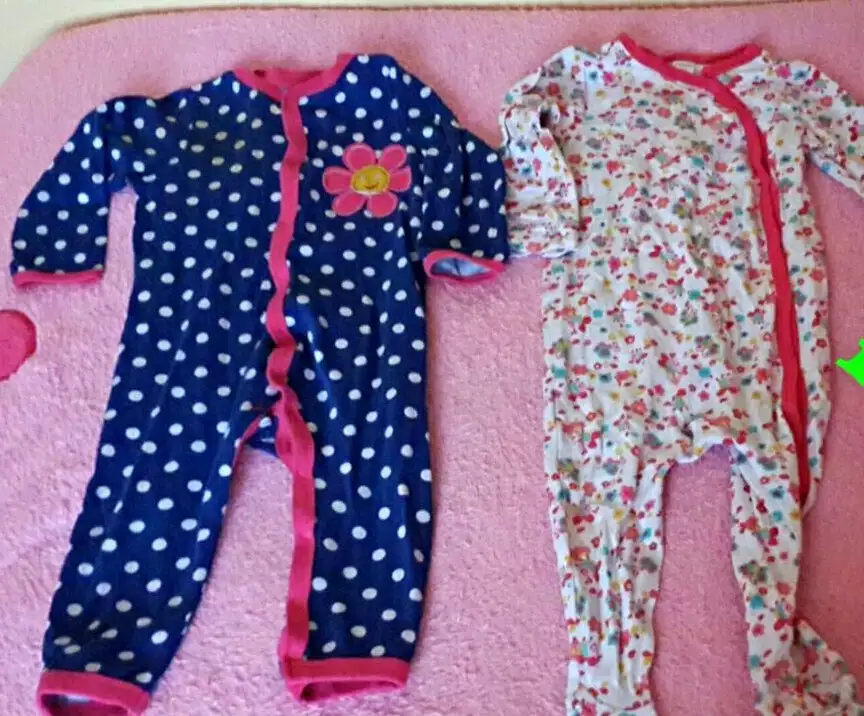 aviary_1423443887973.webp