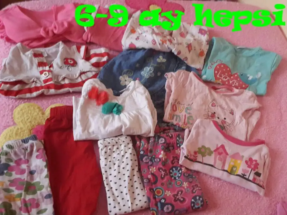 aviary_1423444082785.webp