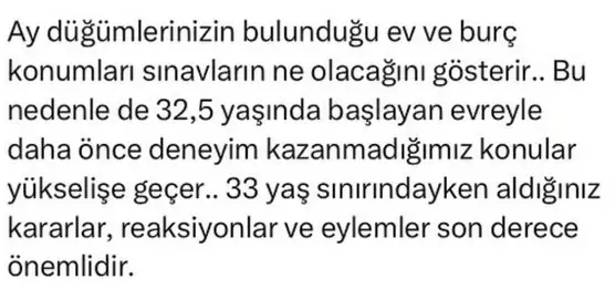 ay (2).webp