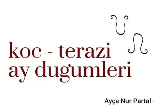 ay 23 (1).webp