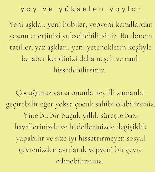 ay 23 (10).webp