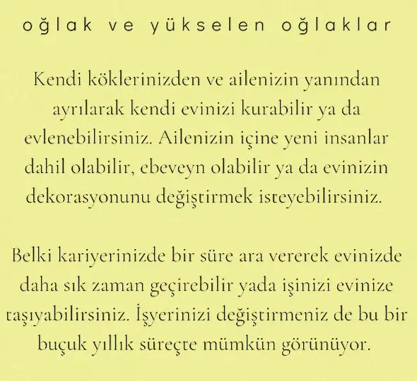 ay 23 (11).webp