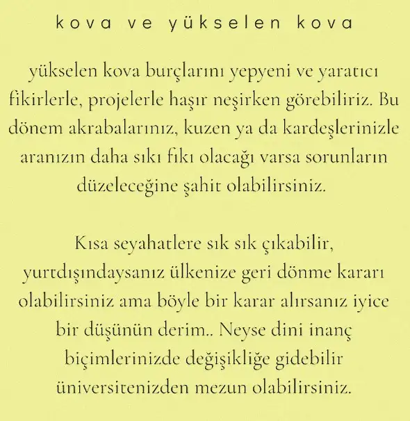 ay 23 (13).webp