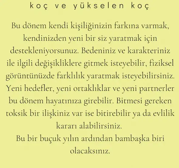 ay 23 (2).webp