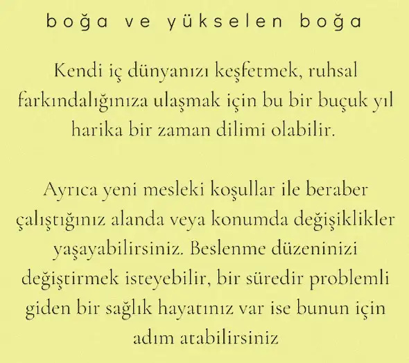 ay 23 (3).webp