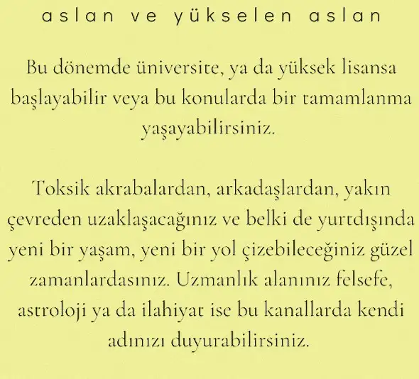 ay 23 (6).webp