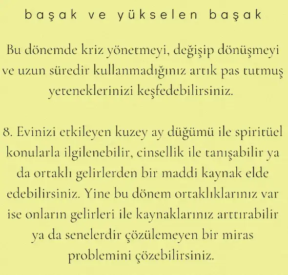 ay 23 (7).webp