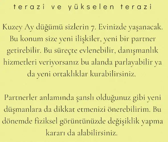 ay 23 (8).webp