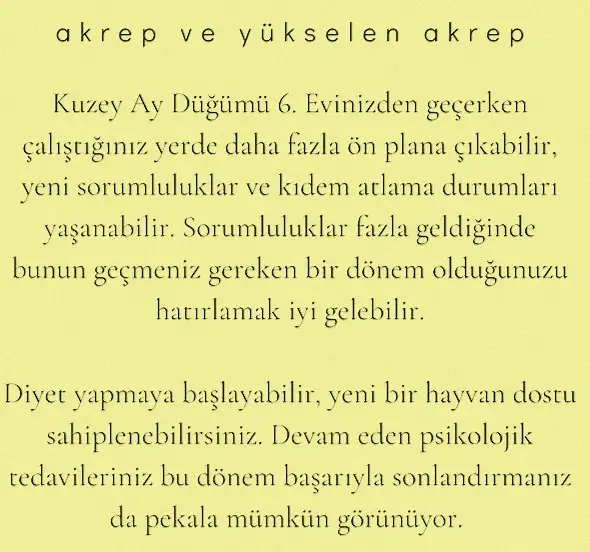 ay 23 (9).webp