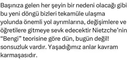 ay (3).webp