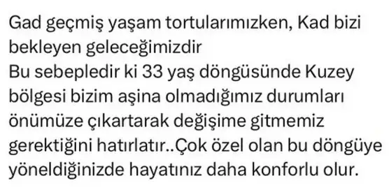 ay (5).webp