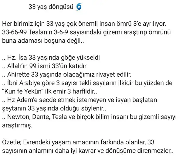 ay (6).webp