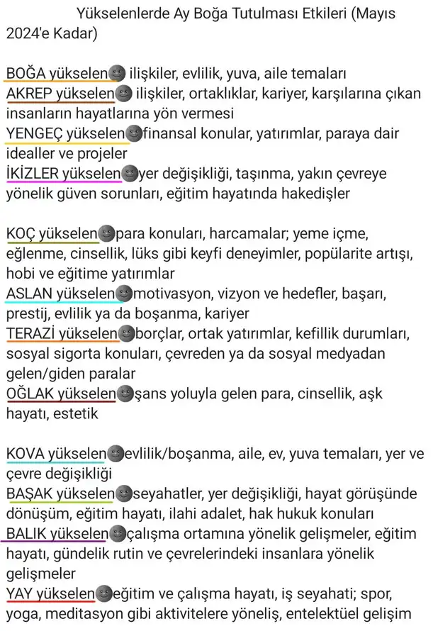 ay boga tut (2).webp