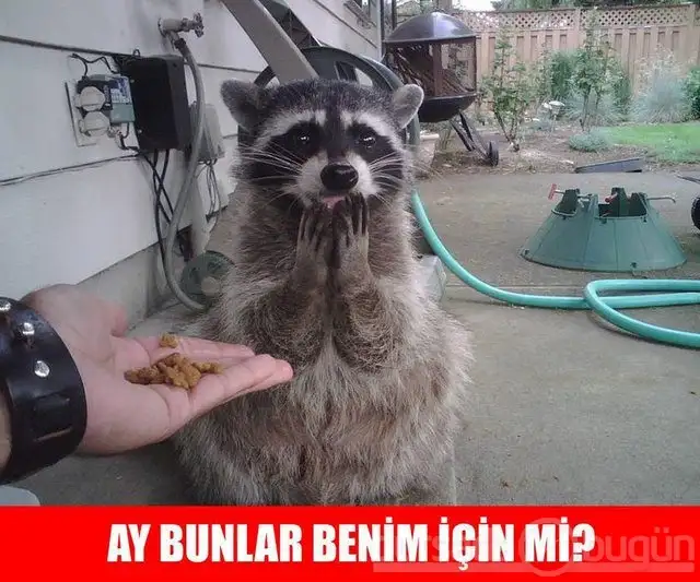 ay-bunlar-benim-icin-mi-komik-caps.webp