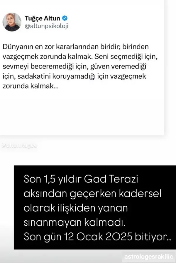 ay d t (2).webp