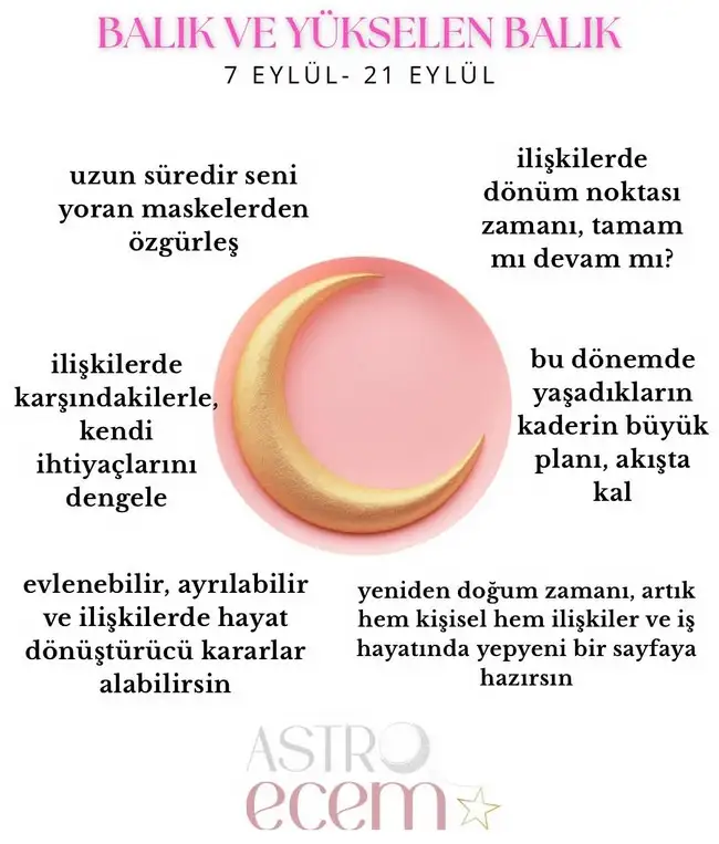 ay d1 (12).webp