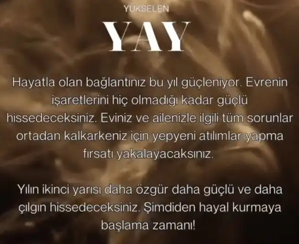 ay d4 (10).webp