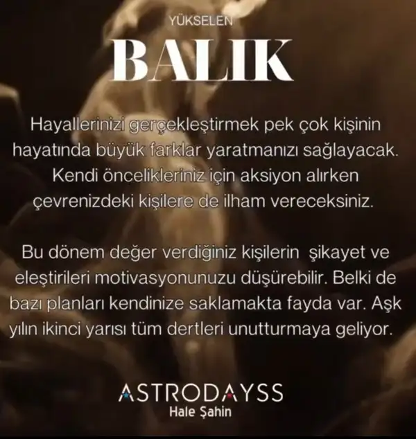 ay d4 (13).webp