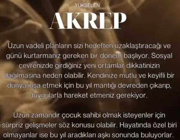 ay d4 (9).webp