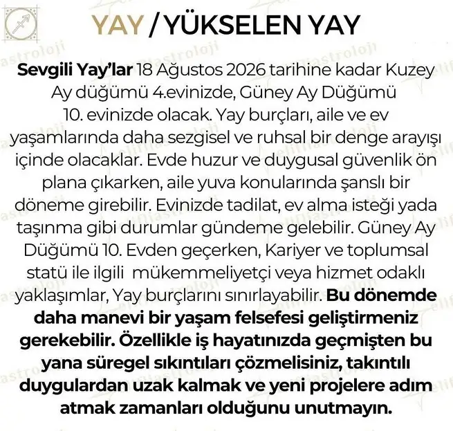 ay d8 (12).webp
