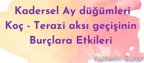 ay1 (1).webp