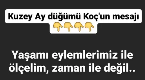 ay1 (1).webp