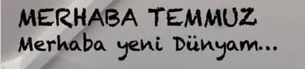ay1 (1).webp
