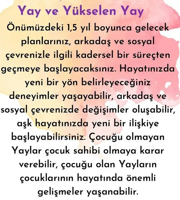ay1 (10).webp