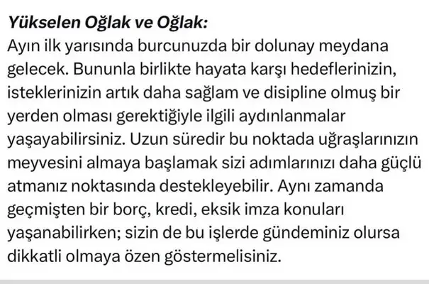 ay1 (10).webp