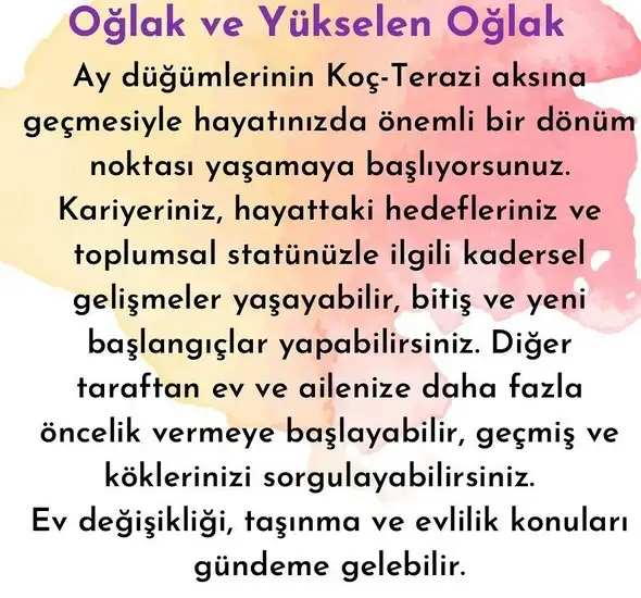 ay1 (11).webp