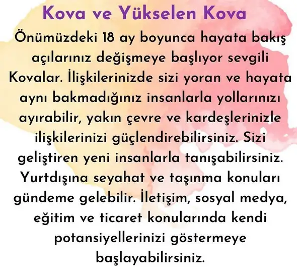 ay1 (12).webp