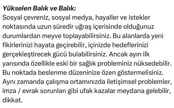 ay1 (12).webp