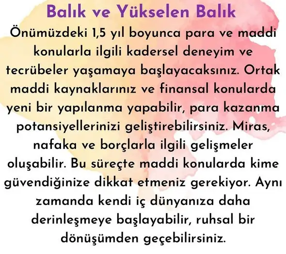 ay1 (13).webp