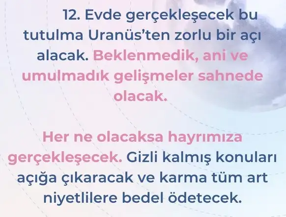 ay1 (2).webp