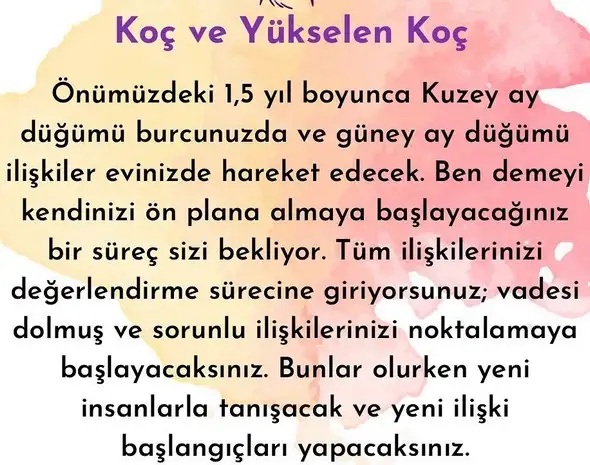ay1 (2).webp