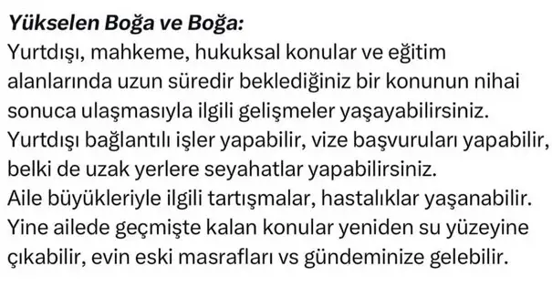 ay1 (2).webp