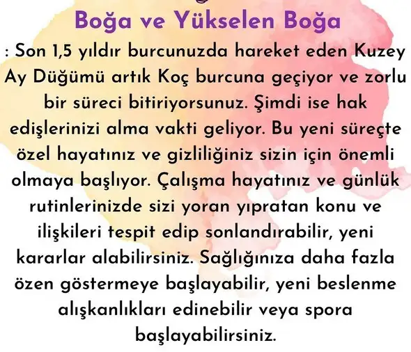 ay1 (3).webp