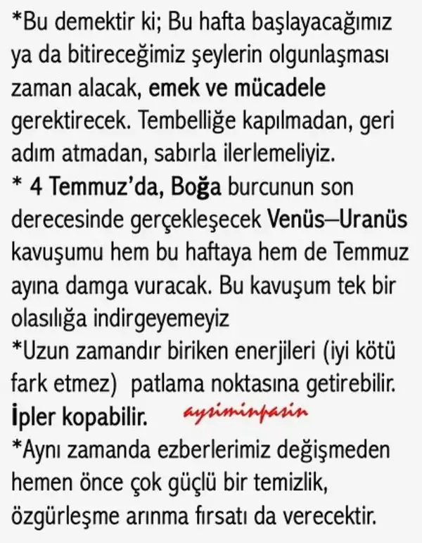 ay1 (3).webp