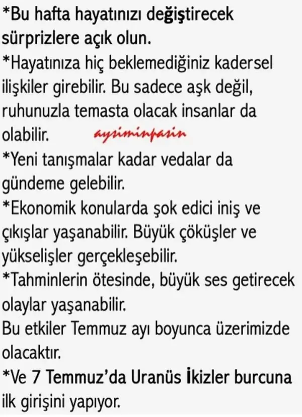 ay1 (4).webp