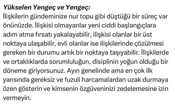 ay1 (4).webp
