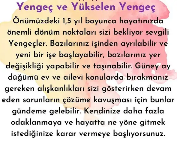 ay1 (5).webp