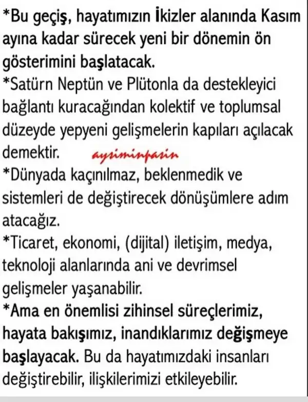ay1 (5).webp
