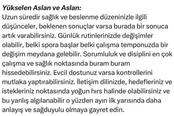 ay1 (5).webp