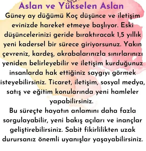 ay1 (6).webp