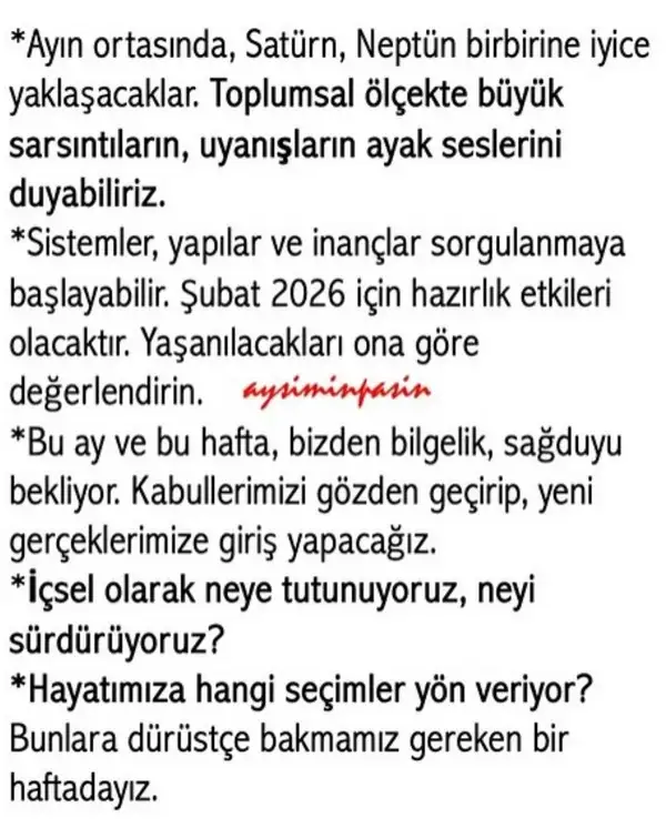 ay1 (6).webp