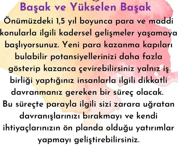 ay1 (7).webp