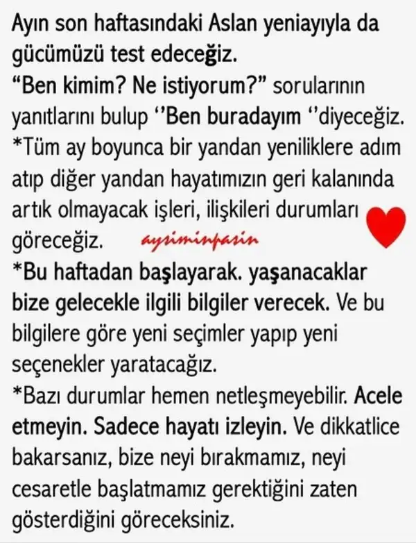ay1 (7).webp