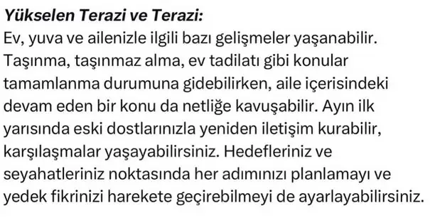 ay1 (7).webp