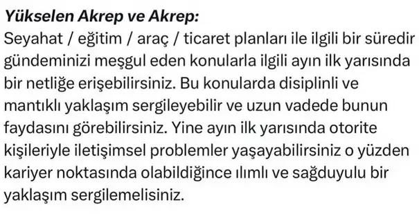 ay1 (8).webp