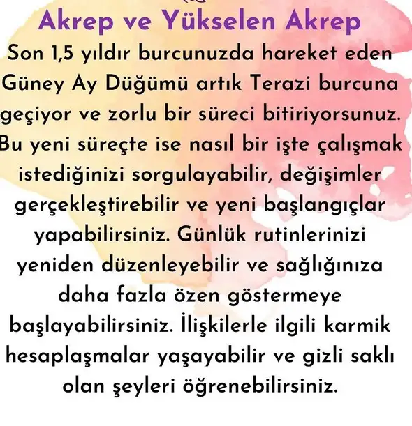 ay1 (9).webp